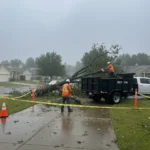 Crew performing emergency tree removal in Harrisburg, PA after a storm, cutting and clearing fallen branches from a driveway